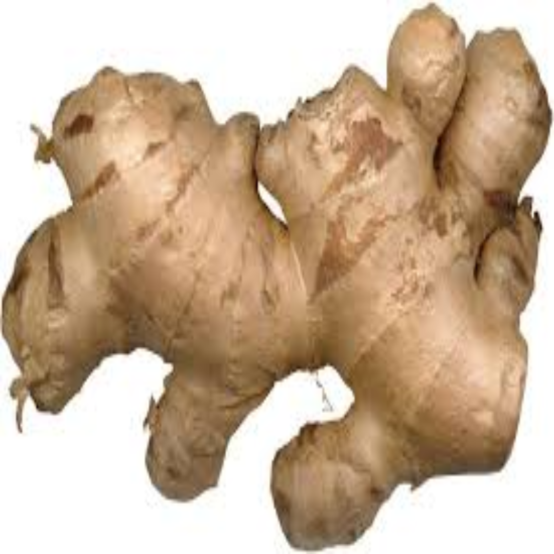 Wholesale Common Ginger Dubai, UAE